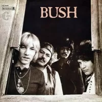 BUSH