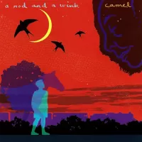 CAMEL - A nod and a wink