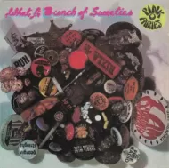 The Pink Fairies - What a bunch of sweeties